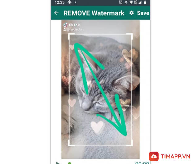 xóa logo TikTok bằng Remove & Add Watermark bước 5