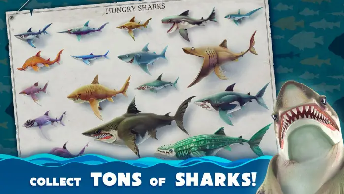Hungry-Shark-World