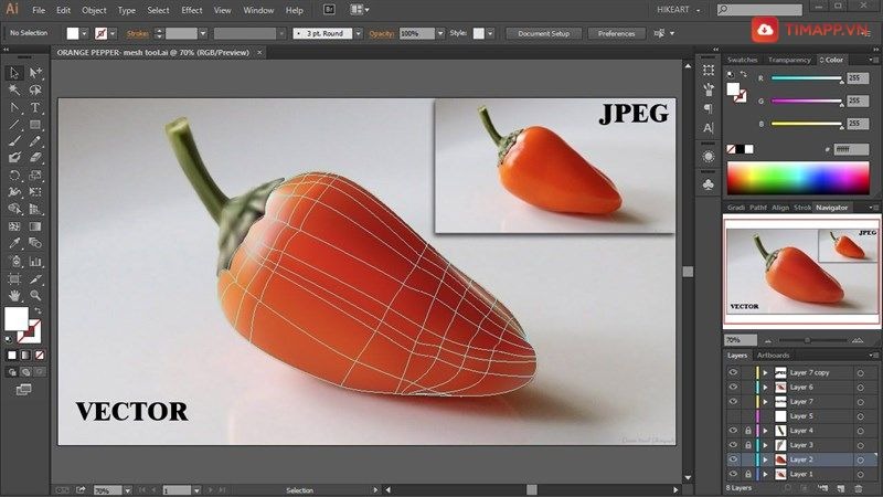 Adobe Illustrator - Ứng dụng thiết kế vector số 1 trên Windows