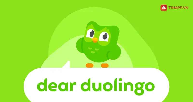 App hoc tieng Anh Duolingo
