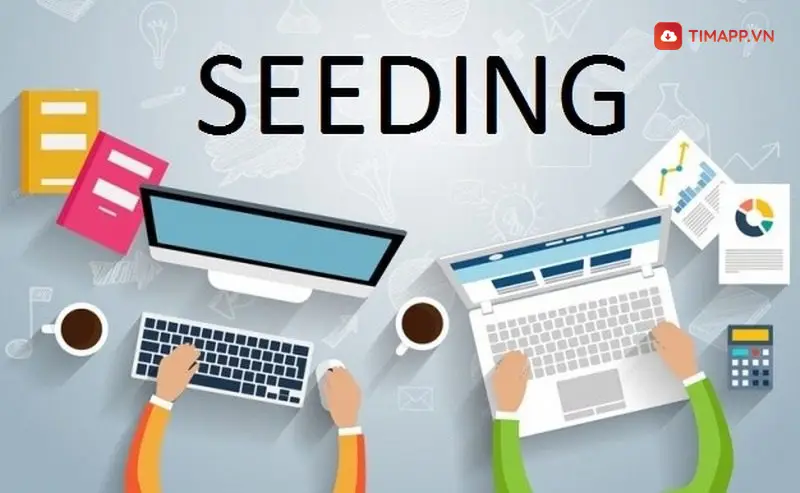 Giai đáp seeding là gì