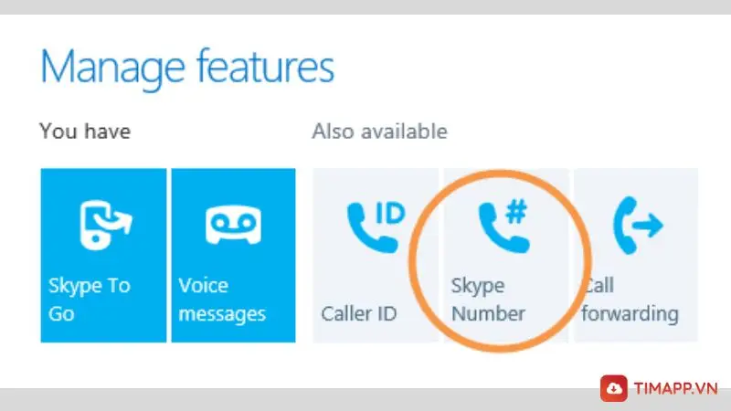 Skype number 