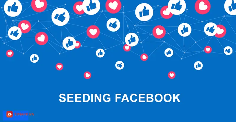 Tìm hiểu thuật ngữ Seeding là gì